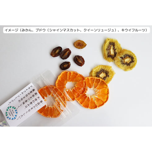 食品ロスをなくしたい!大地の恵みは、最後まで美味しく。農家が作る旬のドライフルーツミックス。(内容おまかせ。今の季節はリンゴ、柑橘、キウイフルーツブドウ、イチゴなど。内容量15~25g程度です)